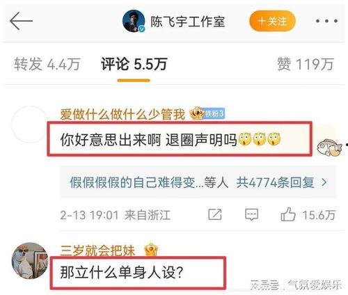 陈飞爆料视频在线观看,揭秘事件背后惊人真相  第3张